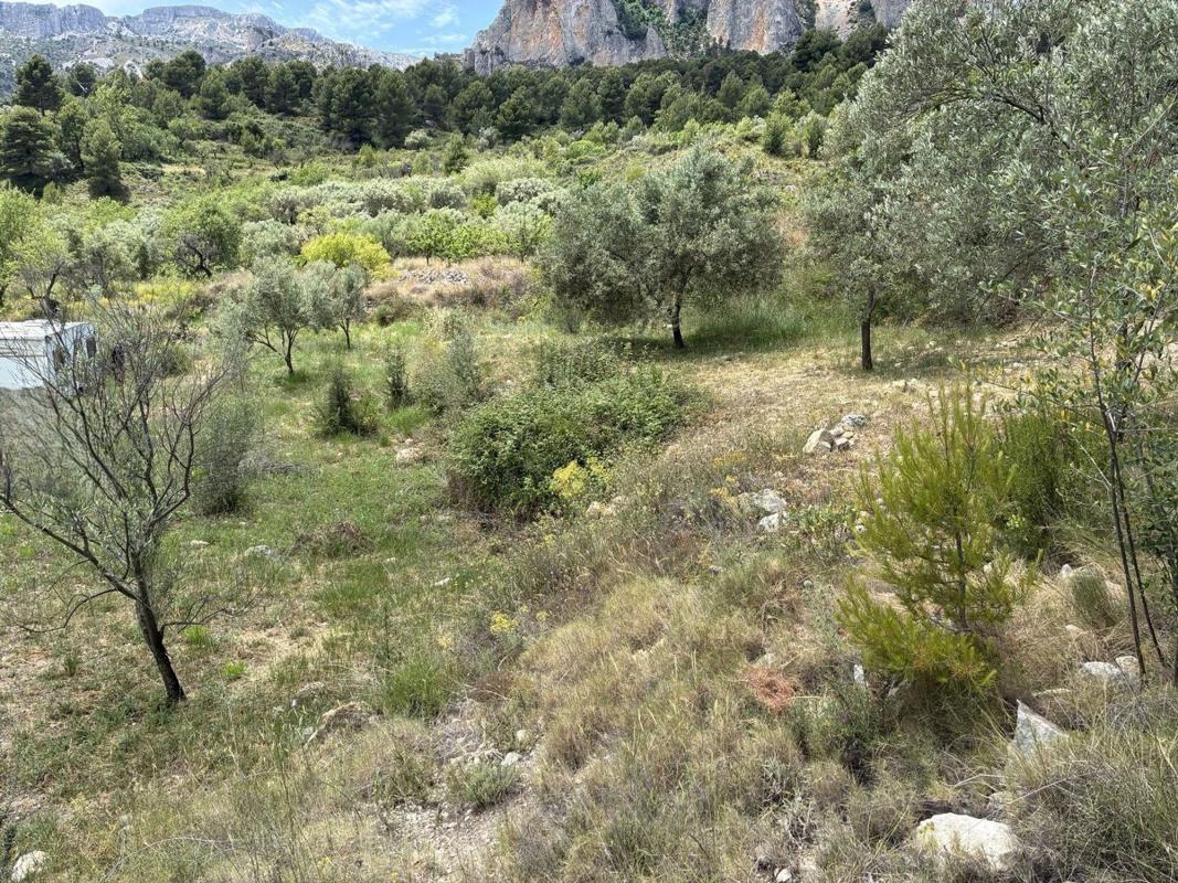 Terreno en venta en Benifato, Alicante photo 5