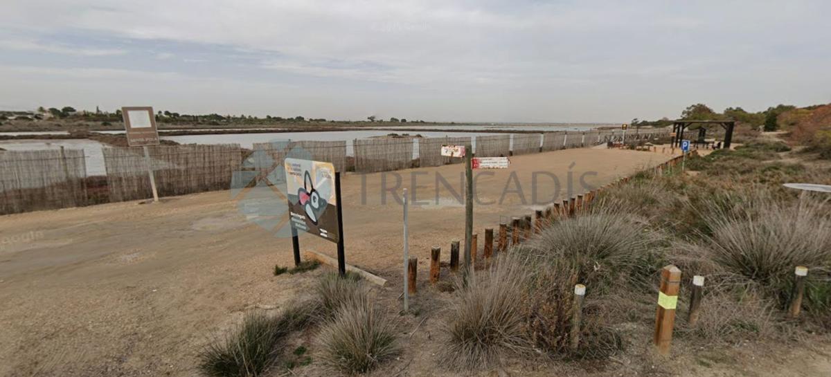 Land for sale in Elche / Elx, Alicante photo 5