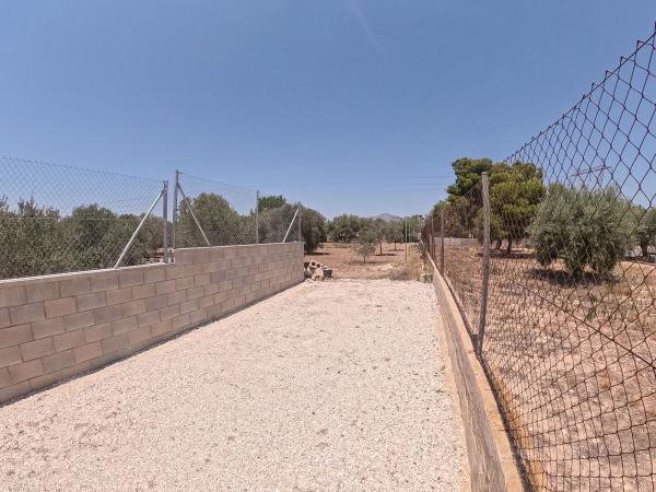 Terreno en Camino del Boronat, 1, Villamontes-Boqueres, San Vicente del Raspeig photo 4