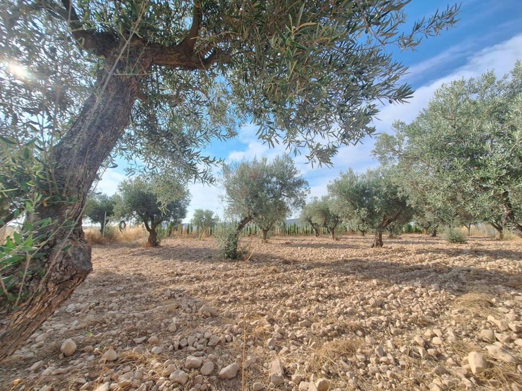 Участок земли на продажу в Пиносo, Аликанте photo 1