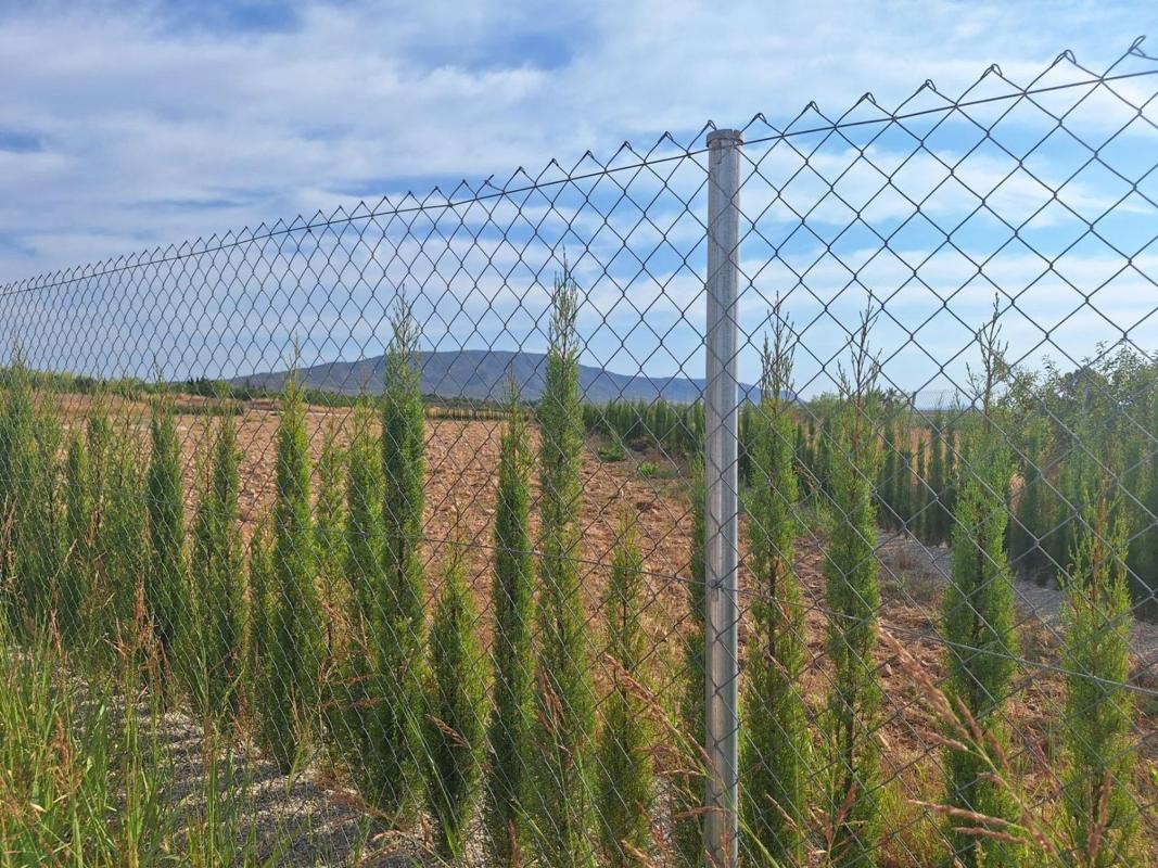 Участок земли на продажу в Пиносo, Аликанте photo 4