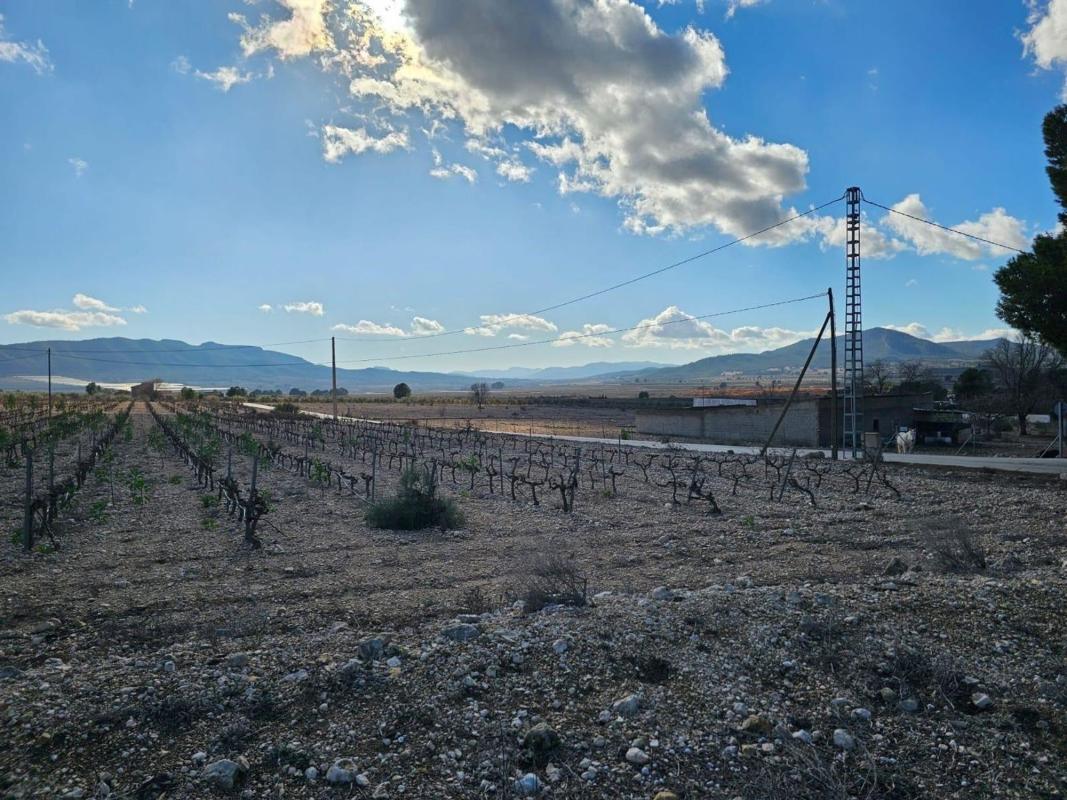 Land for sale in Salinas, Alicante photo 3
