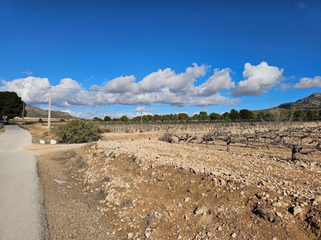 Land for sale in Salinas, Alicante photo 5