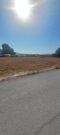 Terreno en Camino del rio s/n, Monforte del Cid photo 1
