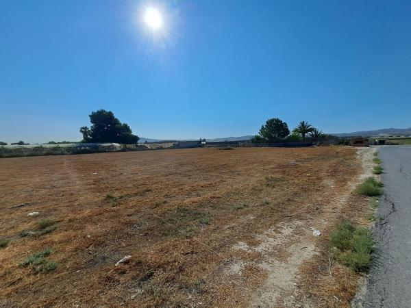 Terreno en Camino del rio s/n, Monforte del Cid photo 4