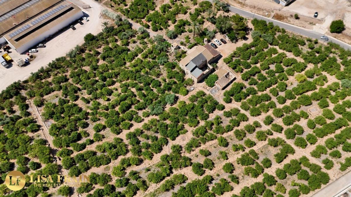 Terreno en venta en Orihuela, Alicante photo 1