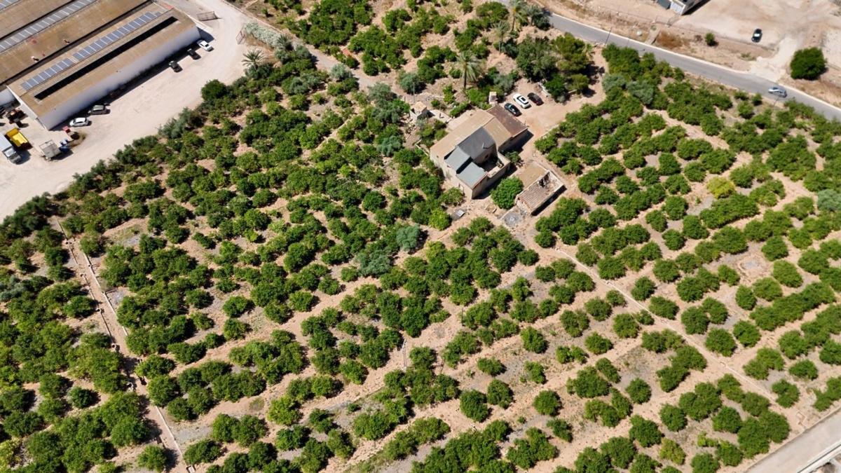 Terreno en venta en Orihuela, Alicante photo 2
