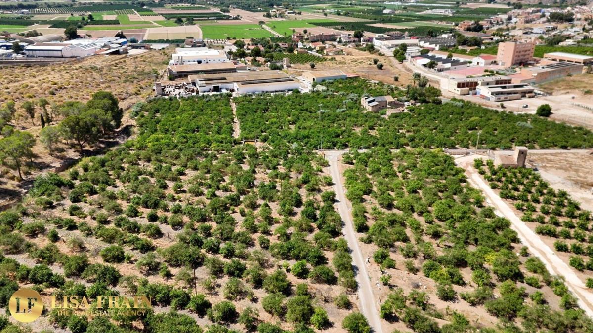 Terreno en venta en Orihuela, Alicante photo 3