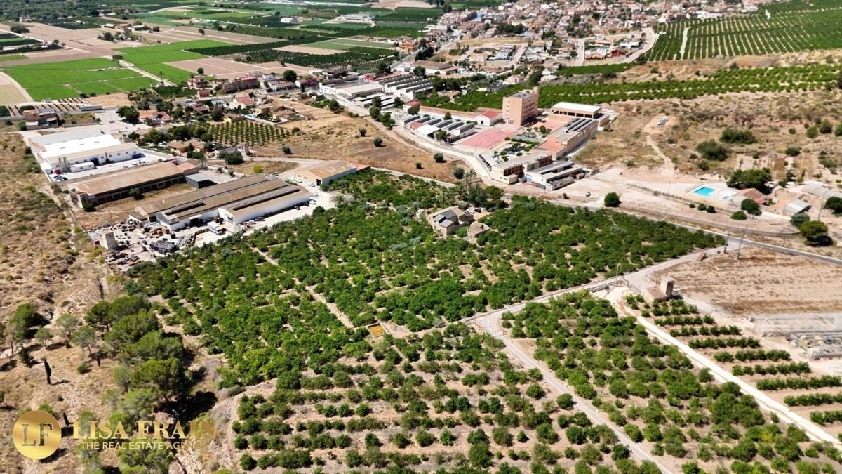 Terreno en venta en Orihuela, Alicante photo 4