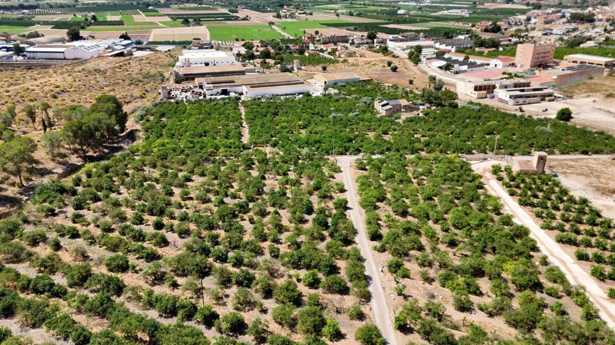Terreno en venta en Orihuela, Alicante photo 5