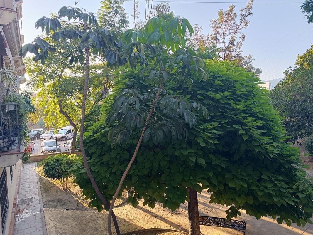 Продажа квартиры на Piso en Calle Lanzarote, 12, Centro Ciudad, Fuengirola, Фуэнхирола
photo 2