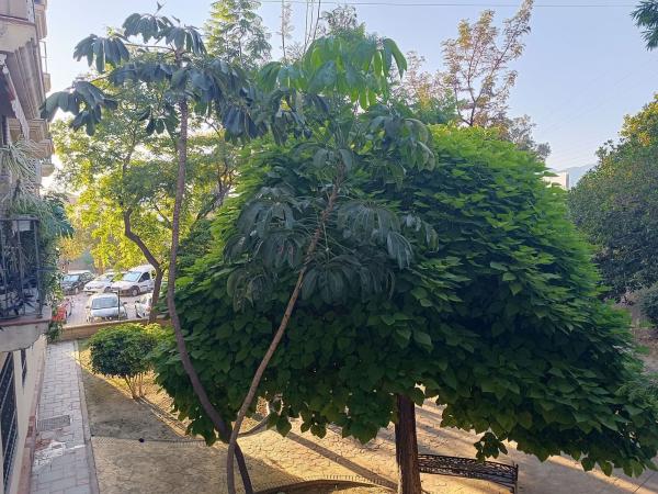 Venta de piso en Piso en Calle Lanzarote, 12, Centro Ciudad, Fuengirola, Fuengirola
thumbnail 1