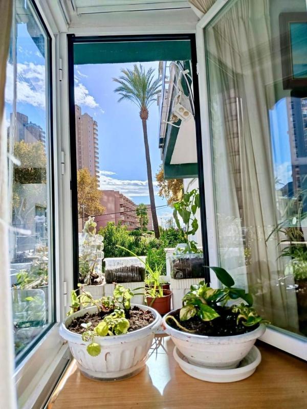 Venta de piso en Piso en Avenida de Cuenca, Playa de Levante, Benidorm, Benidorm
photo 3