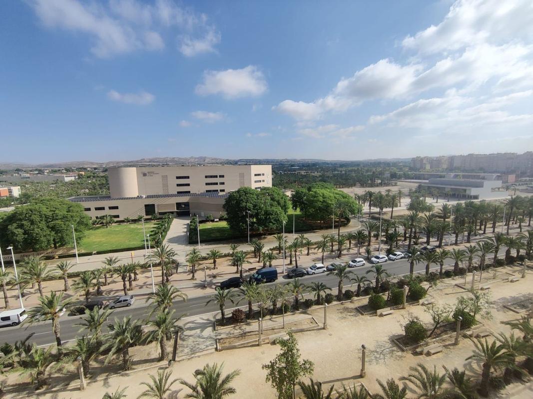 Sprzedaż mieszkania w Piso en Avenida de la Universitat d'Elx, Altabix, Elche / Elx, Elche / Elx
 photo 5