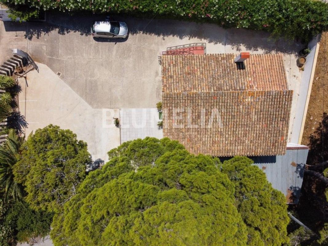 Properties for sale and rent in Spain photo 3