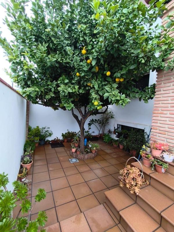 Properties for sale and rent in Spain photo 3