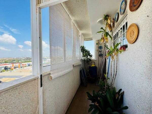 Продажа квартиры на Piso en Calle Joven Pura, Nueva Torrevieja, Torrevieja, Торревьеха
 photo 3