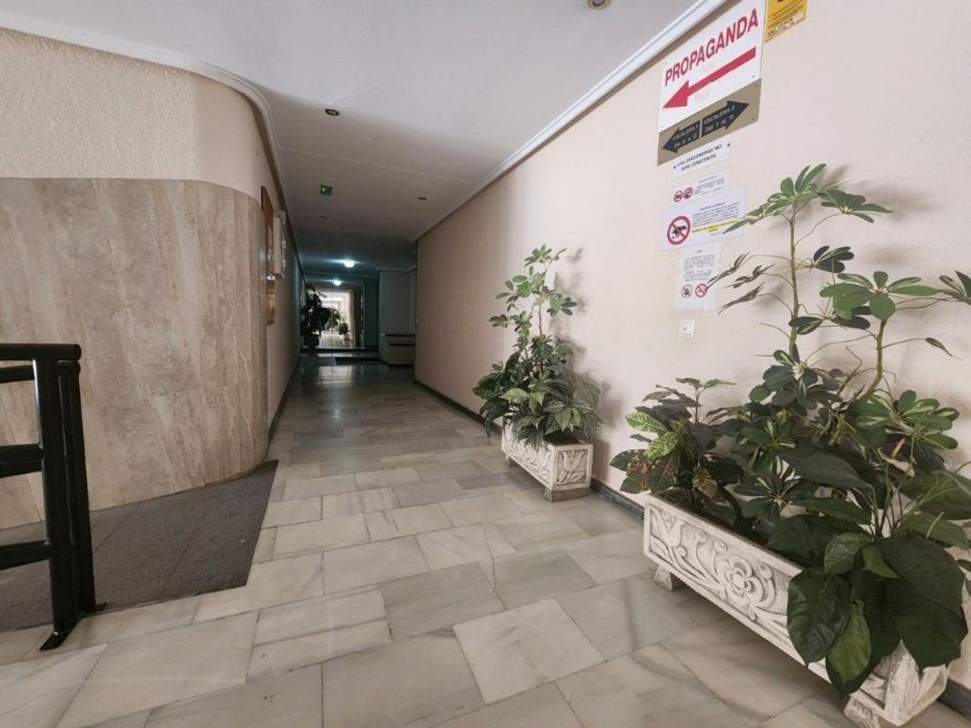 Venta de piso en Piso en Valencia, El Molino, Torrevieja, Torrevieja
 photo 2