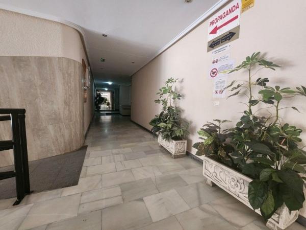 Продажа квартиры на Piso en Valencia, El Molino, Torrevieja, Торревьеха
 photo 2