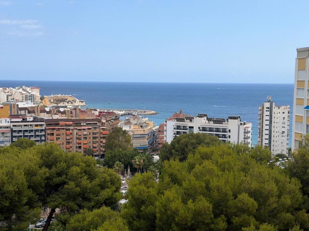 Sale of apartment in Piso en Avenida Nicaragua, Pueblo Poniente, Benidorm, Benidorm
photo 2