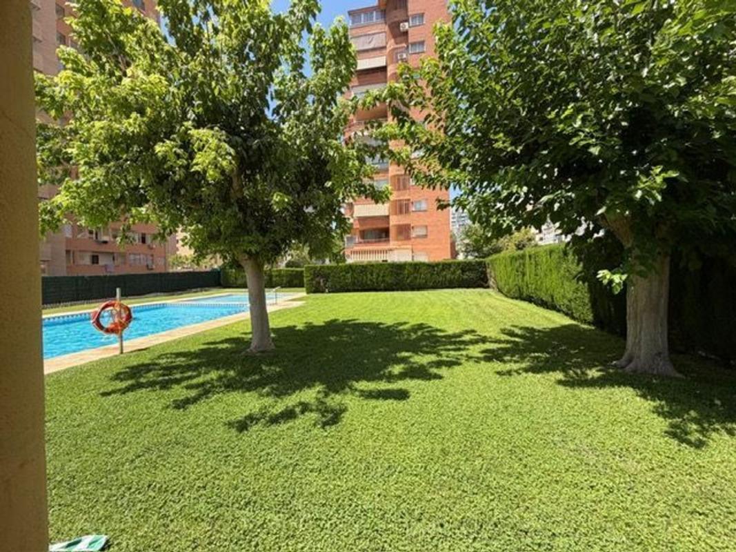 Sale of apartment in Piso en Avenida de Andalucía, Pueblo Levante, Benidorm, Benidorm
photo 2
