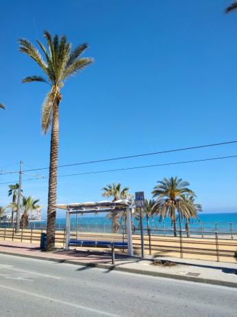 Venta de piso en Piso en Calle de Sorolla, 18, Playa Muchavista, El Campello, El Campello
thumbnail 1