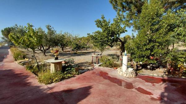 Rustic farm for sale in Finca rústica en Camino de San Juan, Las Tiesas, Villena , Villena photo 1