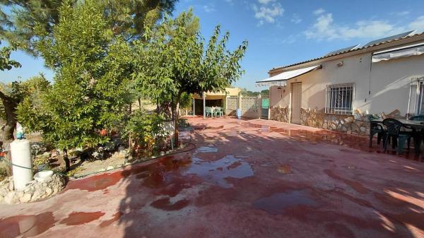 Rustic farm for sale in Finca rústica en Camino de San Juan, Las Tiesas, Villena , Villena thumbnail 1