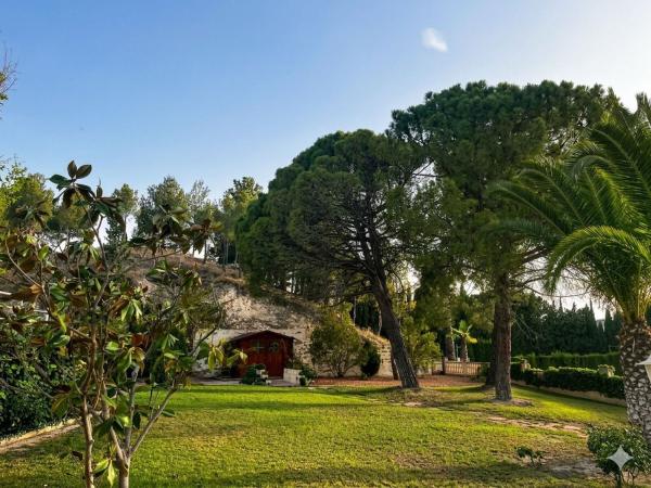 Chalet pareado en Petrer photo 2