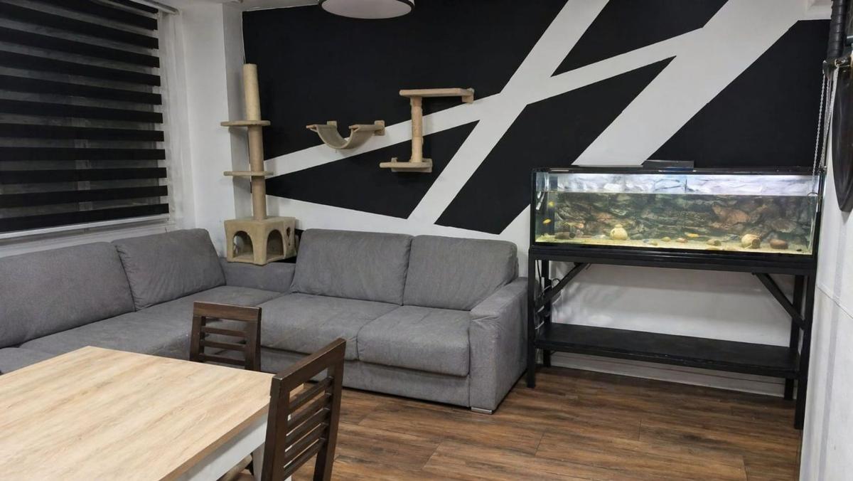 Venta de piso en Piso en Calle Echegaray, Centro, San Vicente del Raspeig, San Vicente del Raspeig
photo 5