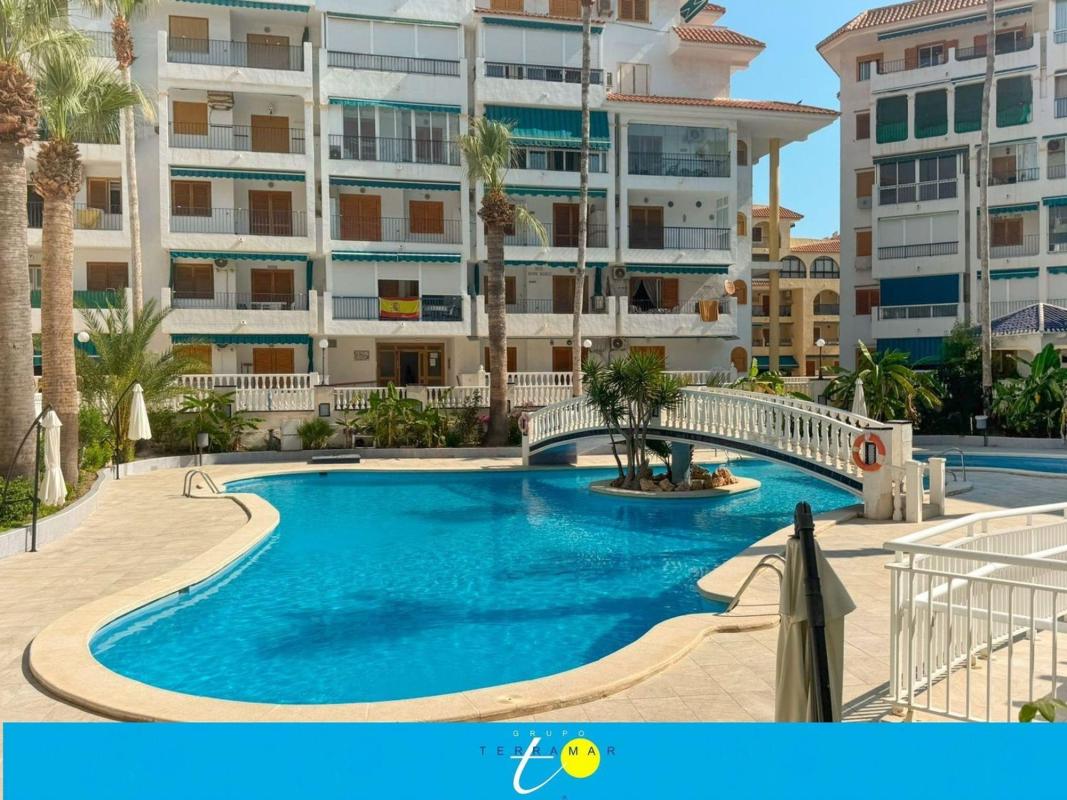 Продажа студии в Estudio en Avenida Bélgica, 5, Los Europeos, Torrevieja, Торревьеха photo 1