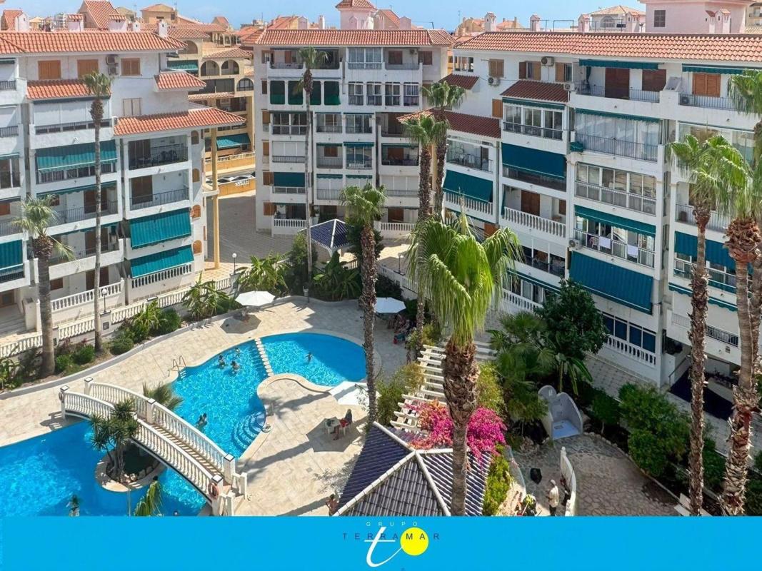 Продажа студии в Estudio en Avenida Bélgica, 5, Los Europeos, Torrevieja, Торревьеха photo 2