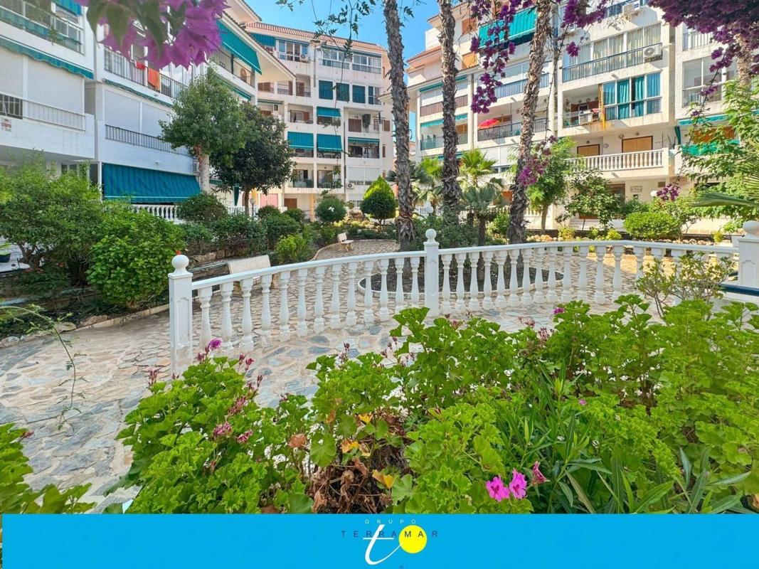 Продажа студии в Estudio en Avenida Bélgica, 5, Los Europeos, Torrevieja, Торревьеха photo 3