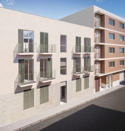 Promotion California new development in Inca photo 1