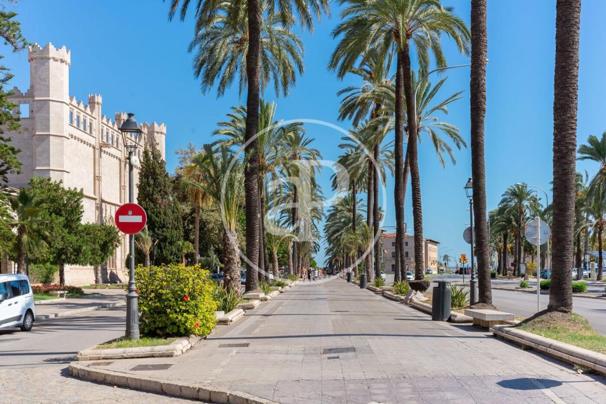 New construction Son Armadans in Palma de Mallorca photo 5