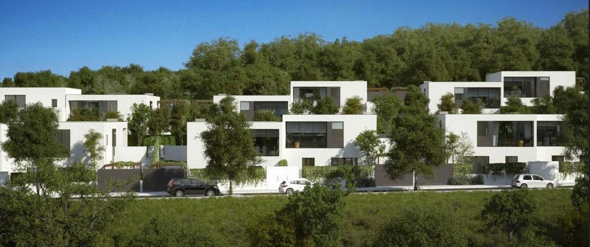 New construction Bosque de Amares in Ames photo 1
