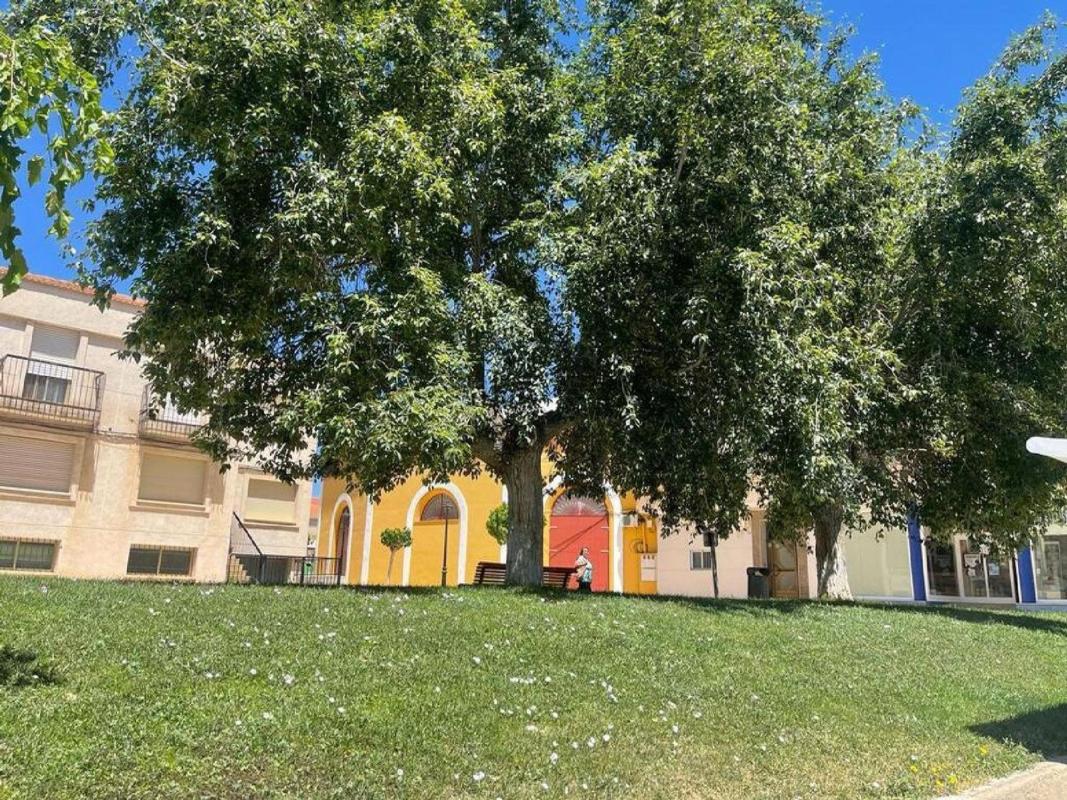 Sale of independent chalet in Casa o chalet en Tobarra, Tobarra
photo 5