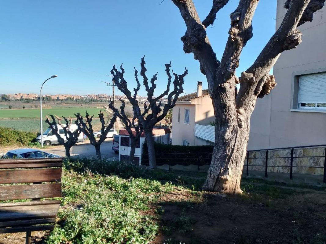 Propiedades en venta y alquiler en España photo 5
