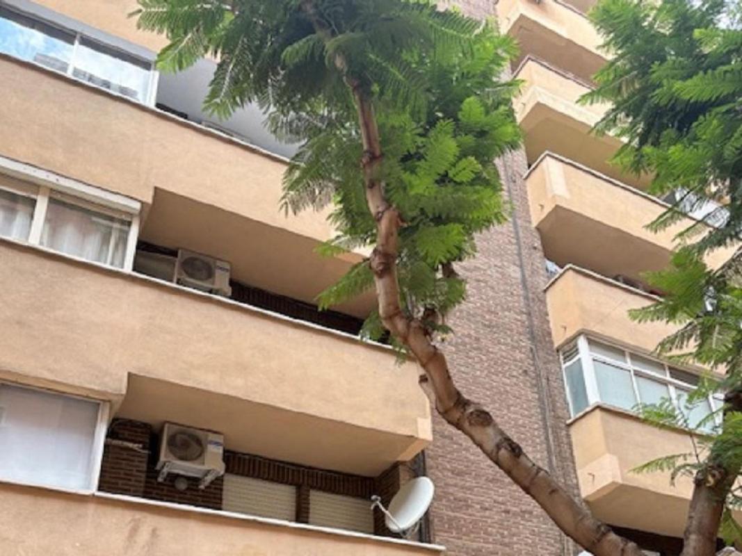 Venta de piso en Piso en Calle Asunción, 91, Centro, Molina de Segura, Molina de Segura
photo 2