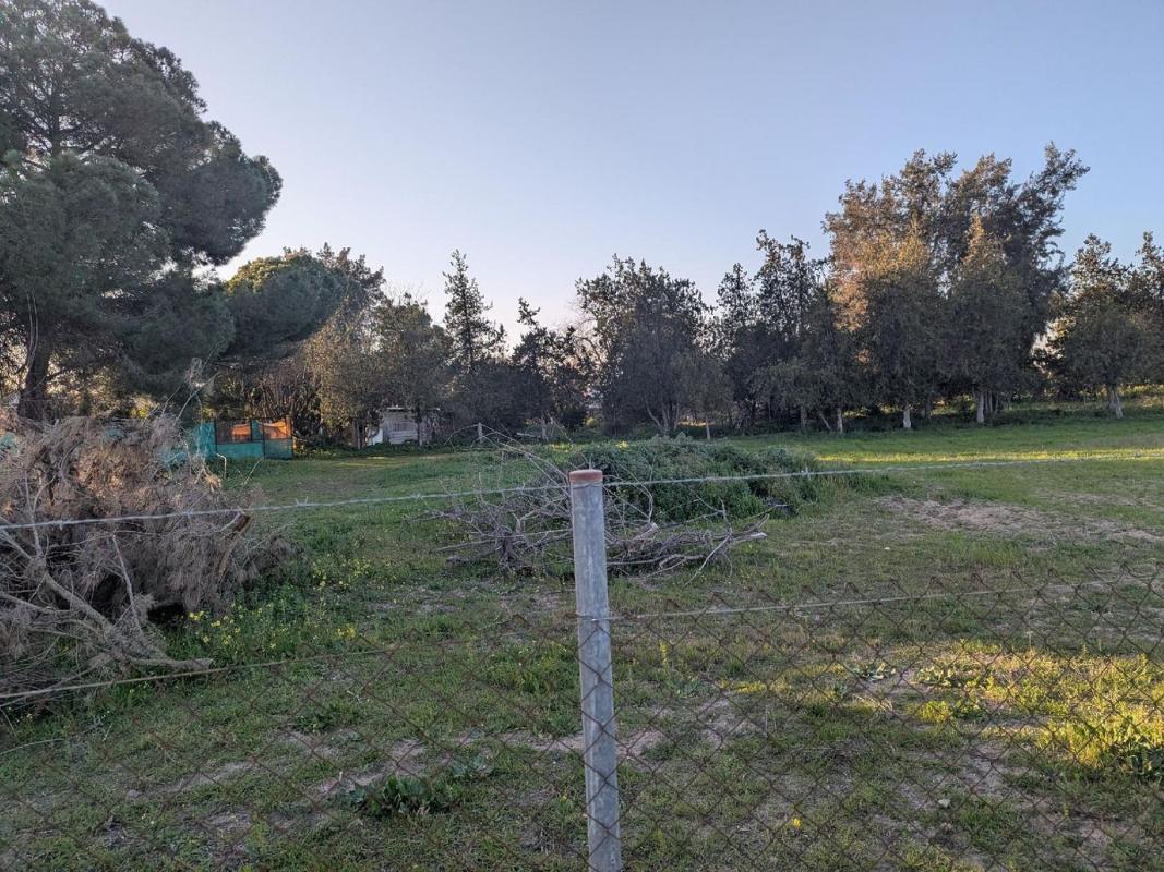 Sprzedaż niezależnego domku jednorodzinnego w Casa o chalet en Torre Cruz-Los Molinos, Utrera, Utrera photo 1