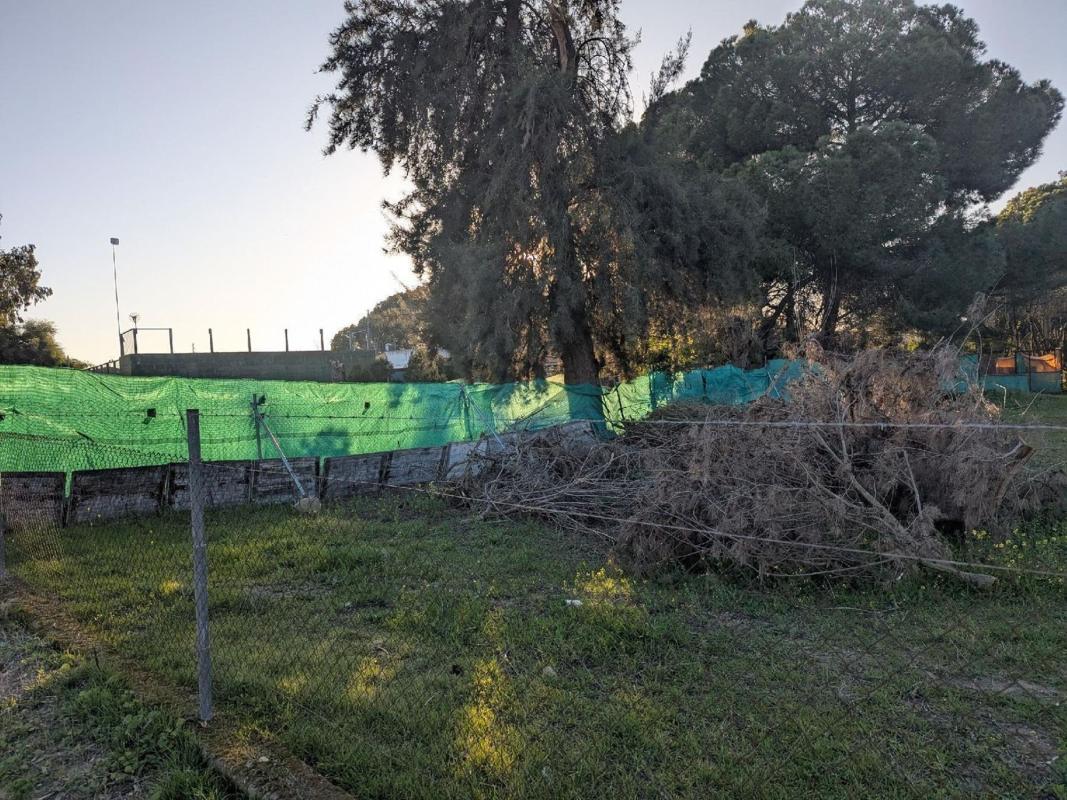 Sprzedaż niezależnego domku jednorodzinnego w Casa o chalet en Torre Cruz-Los Molinos, Utrera, Utrera photo 2