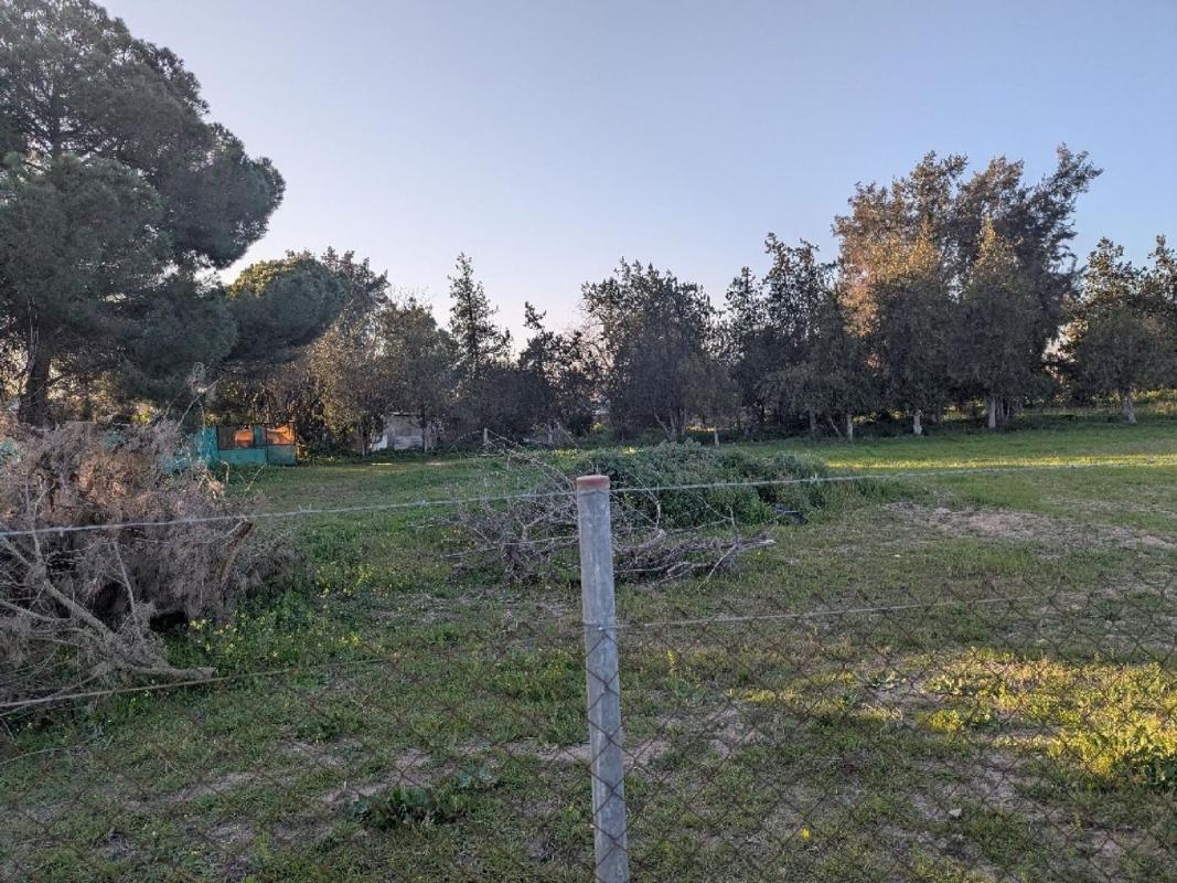 Sprzedaż niezależnego domku jednorodzinnego w Casa o chalet en Torre Cruz-Los Molinos, Utrera, Utrera photo 4