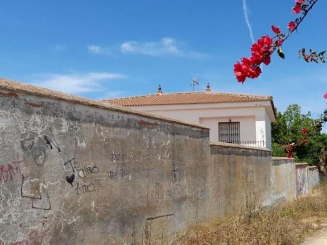 Продажа отдельного шале в Casa o chalet en Calle Federico García Lorca, 27 -25, Bollullos de la Mitacion, Болльюлос-де-ла-Митацион photo 5