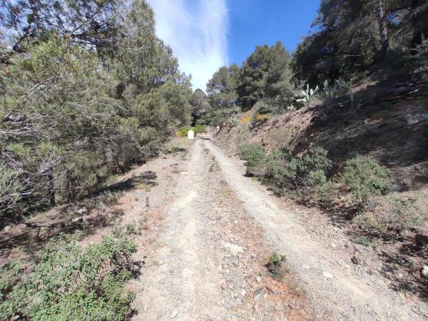 Independent chalet for sale in Casa o chalet en Riudecols, Riudecols
photo 1