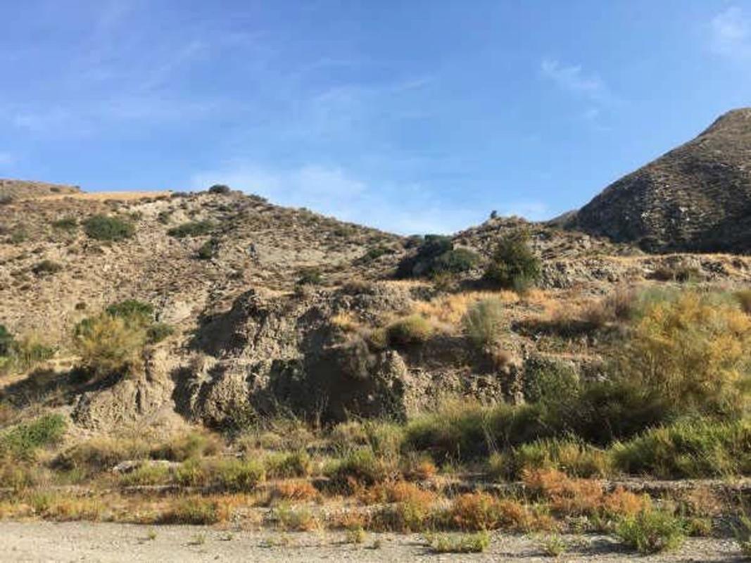 Działka na sprzedaż w Adra, Almería photo 5