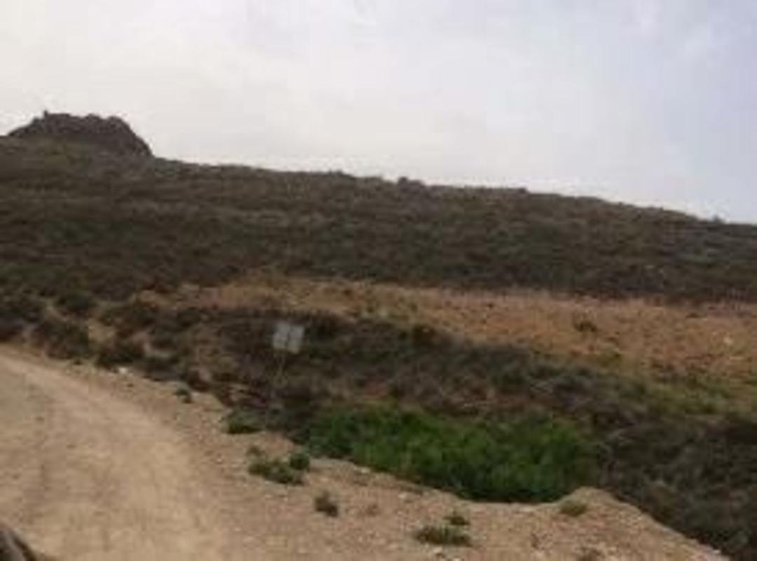 Działka na sprzedaż w Berja, Almería photo 3