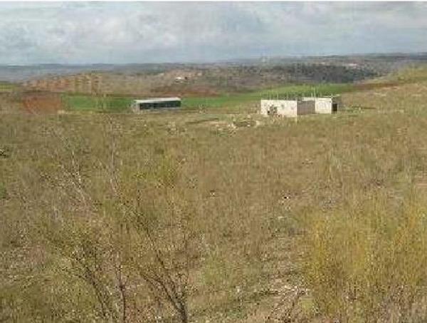 Terreno en Vía, 25 Polig 25, Llera photo 1