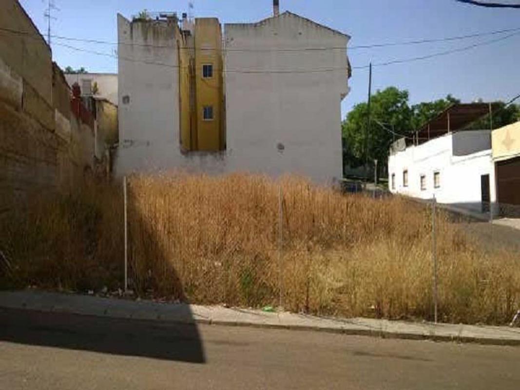 Land for sale in Badajoz, Badajoz photo 3