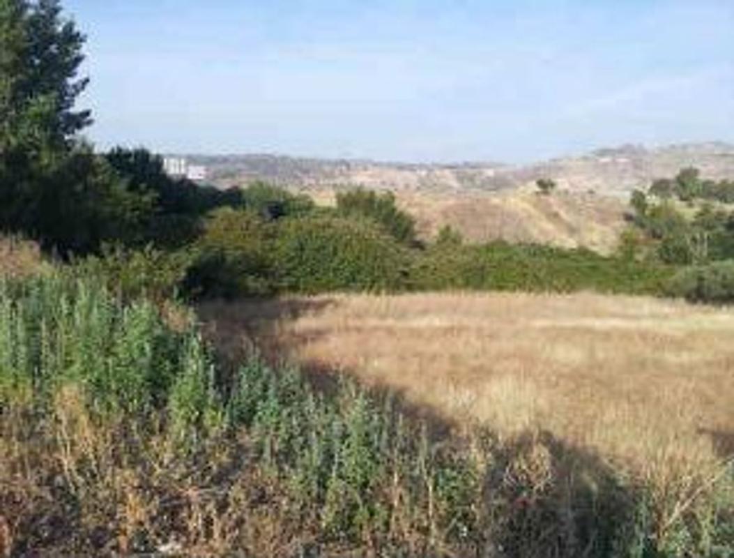Terreno en venta en Zafra, Badajoz photo 3