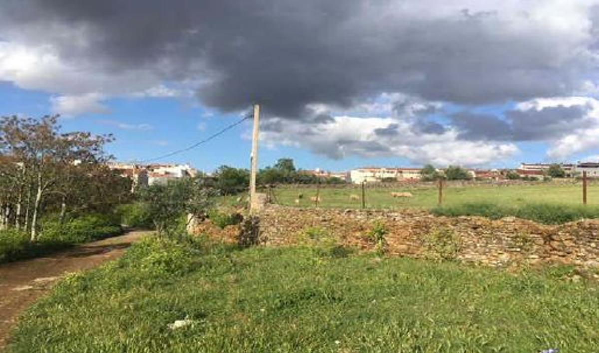 Terreno en venta en Zafra, Badajoz photo 4